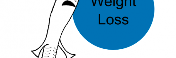 weight loss tb patients weight loss tb patients